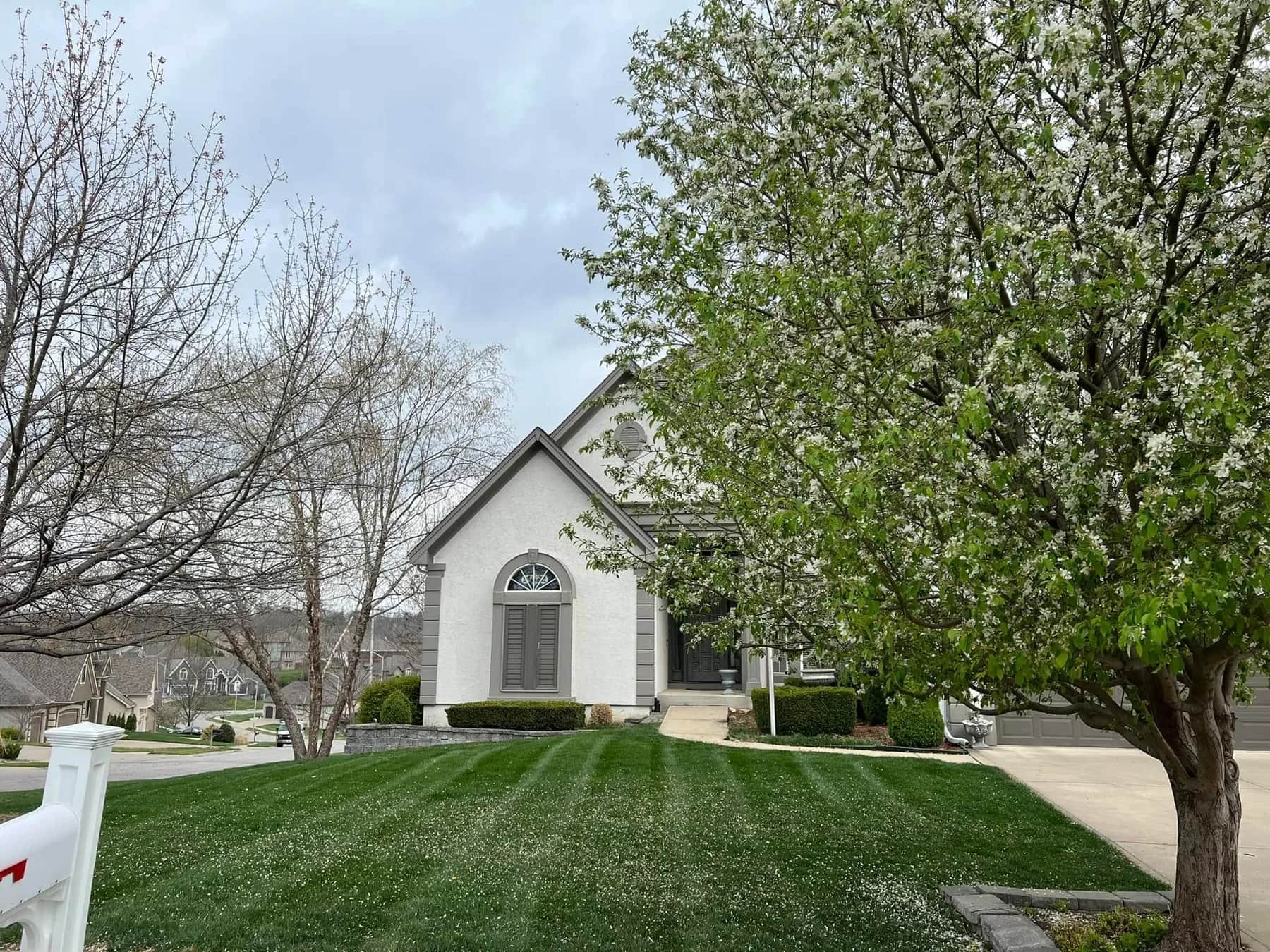 Green grounds and established trees beside a white church building