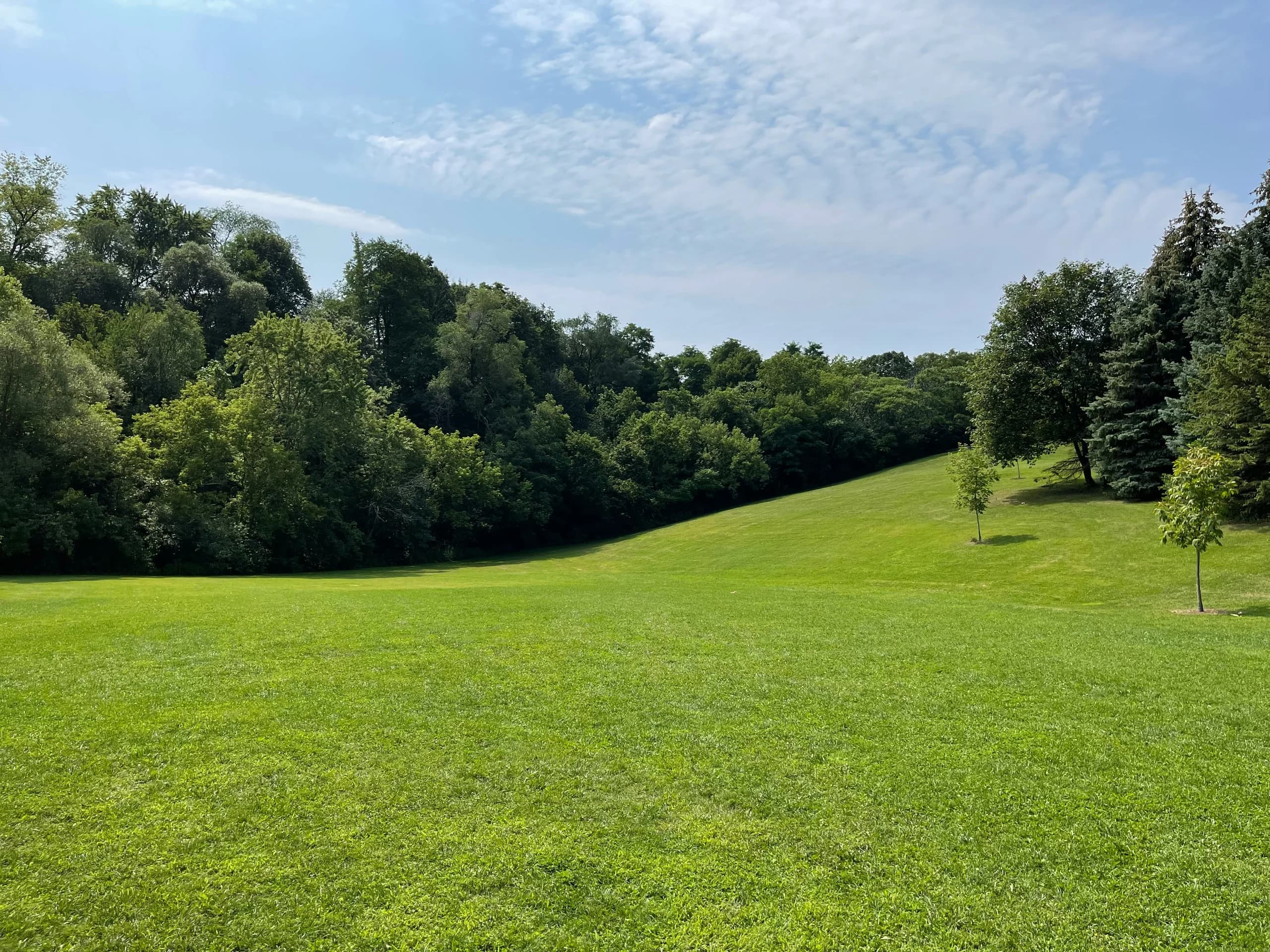 Open green lawn on a gentle slope bordered by mature trees