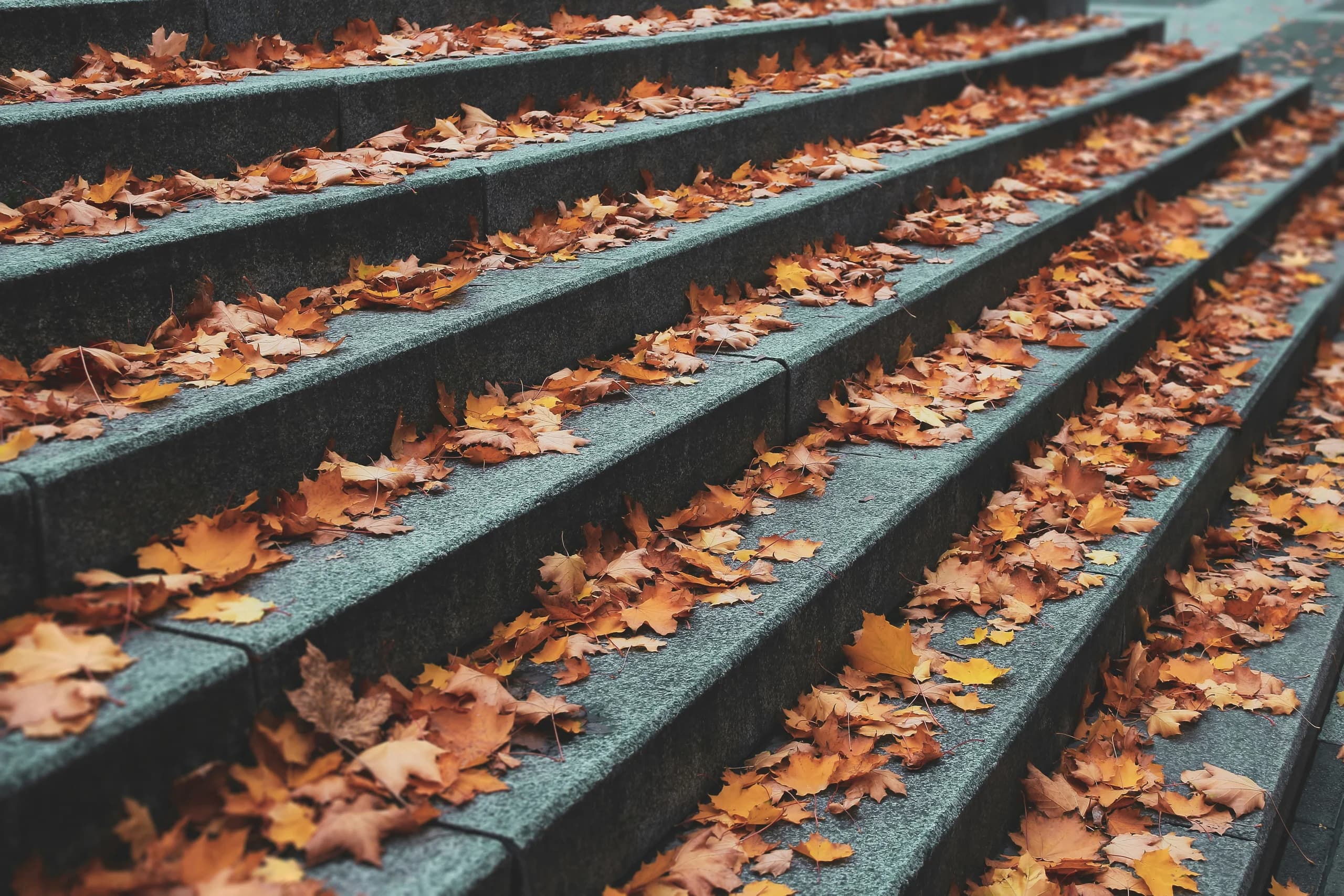Fallen orange and brown autumn leaves scattered across outdoor stone steps
