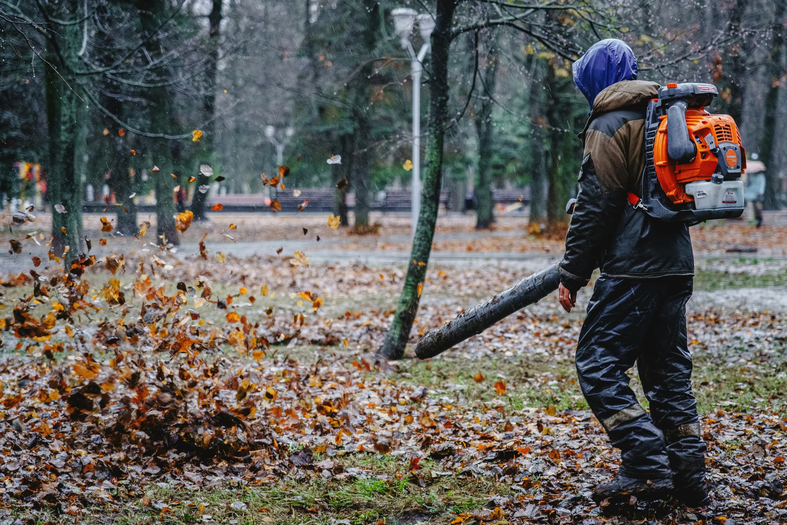 Worker using a backpack leaf blower to clear fallen leaves from tree-lined grounds