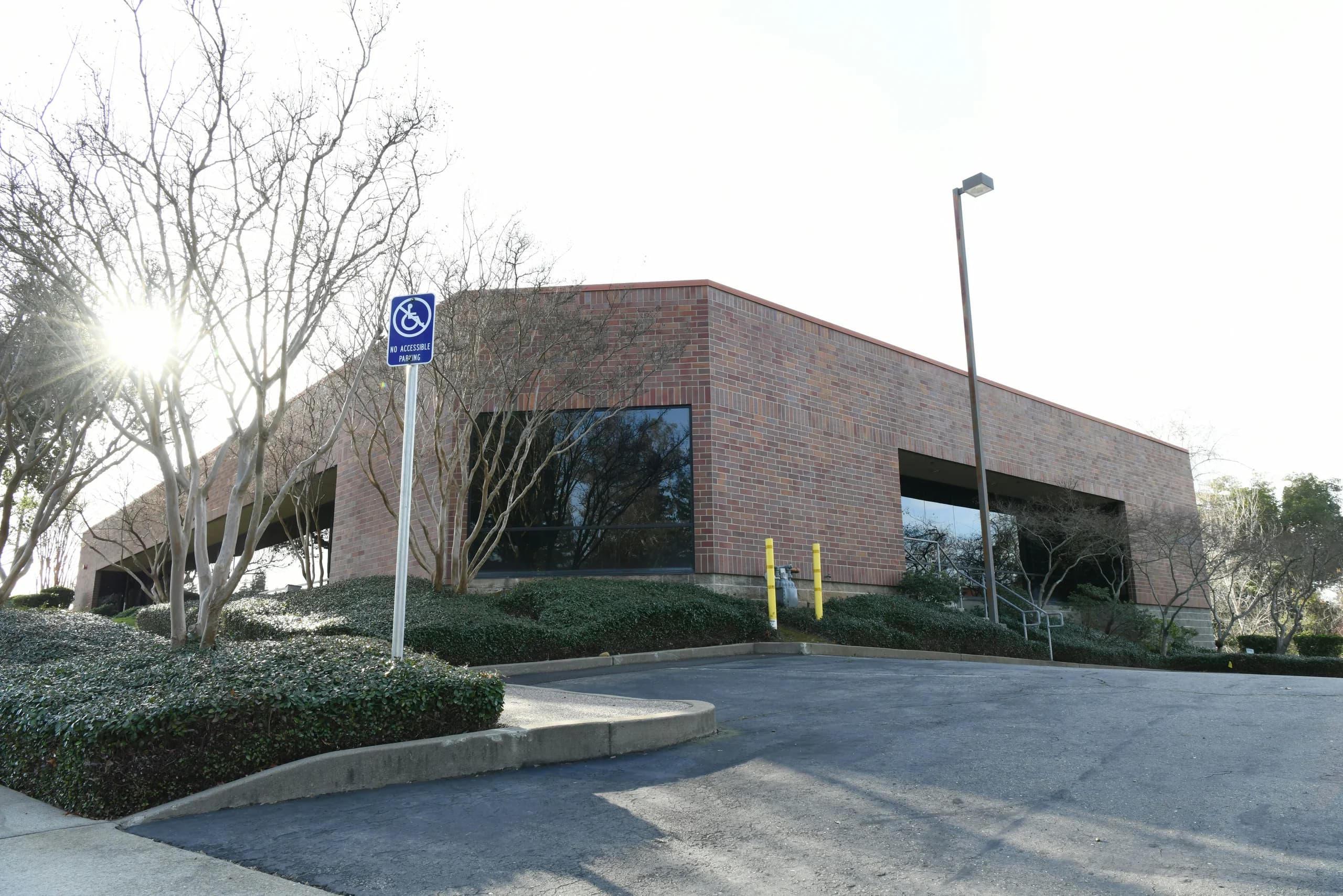 Low hedges and landscaped beds beside an office parking area