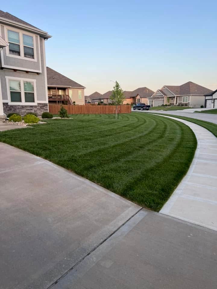 Curved mowing stripes on a front lawn beside a sidewalk and driveway