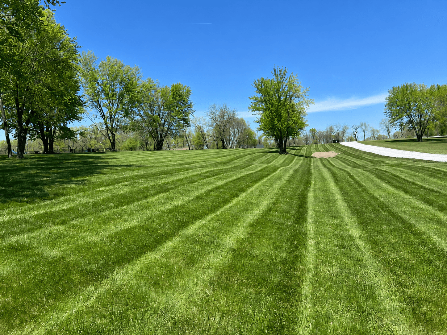 Green lawn framed by mature trees