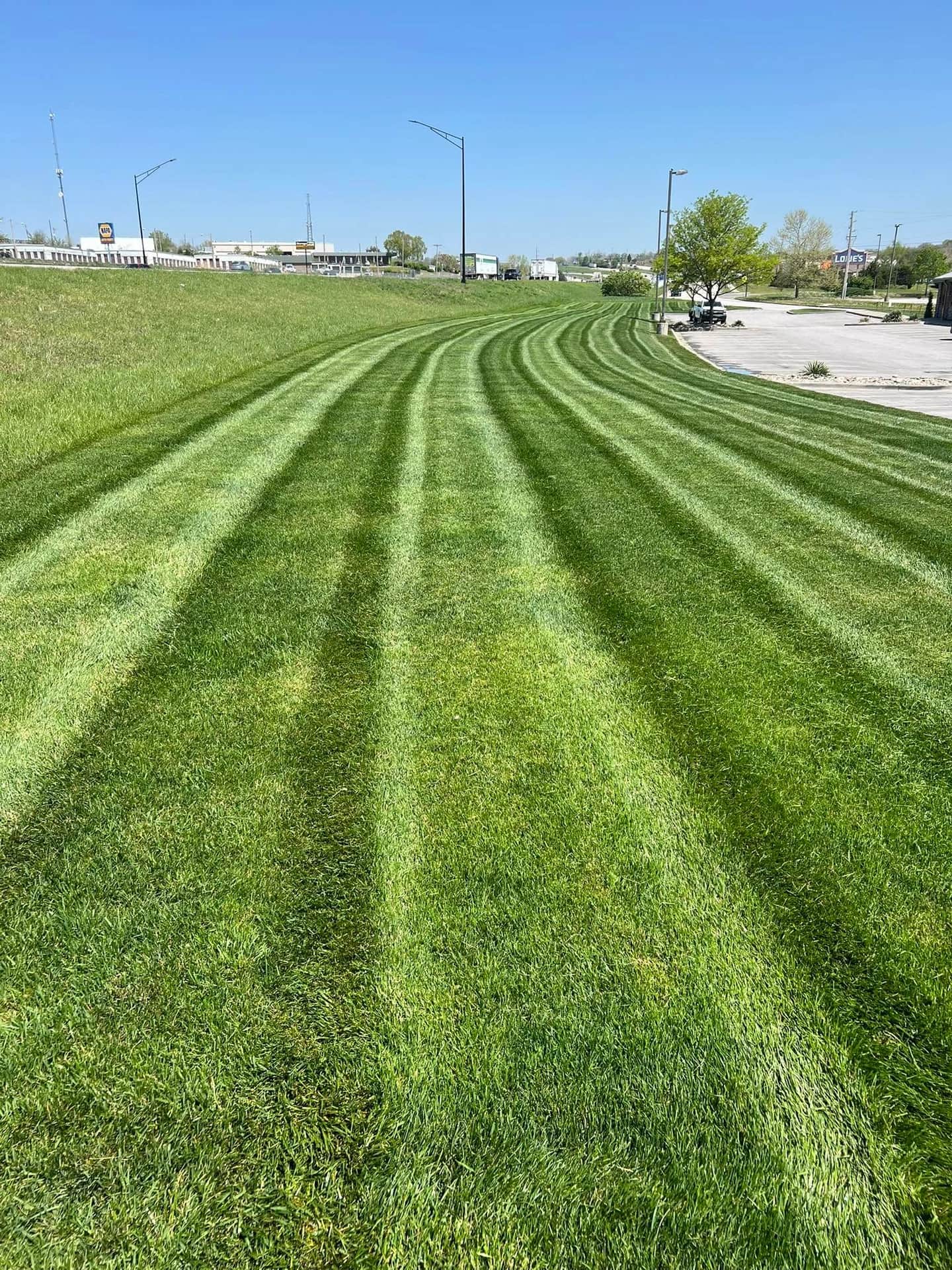 Curving mowing stripes across a green commercial lawn beside a parking area