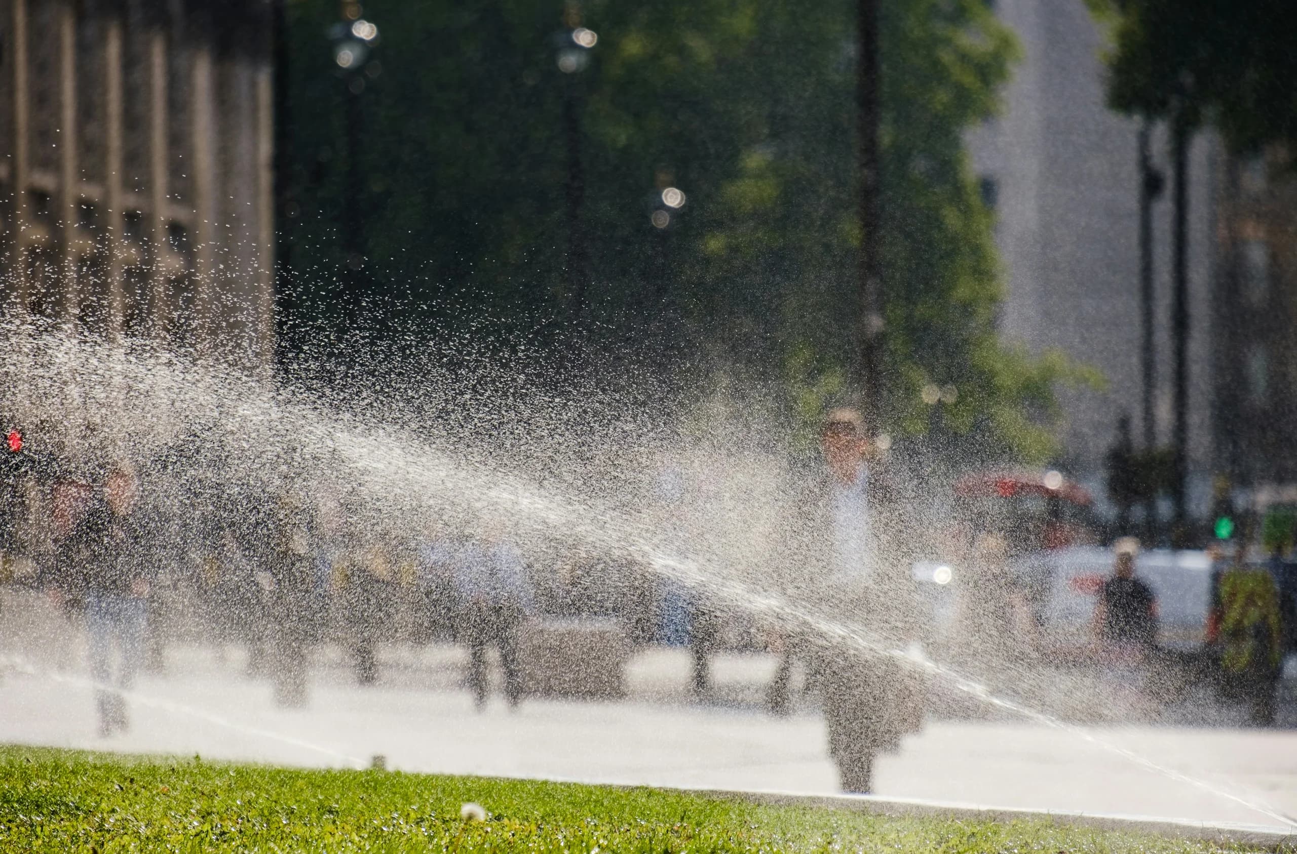 Sprinklers spraying water across a green lawn beside an urban walkway