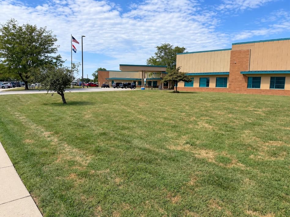 Mowed lawn with trees and flagpoles in front of a public facility