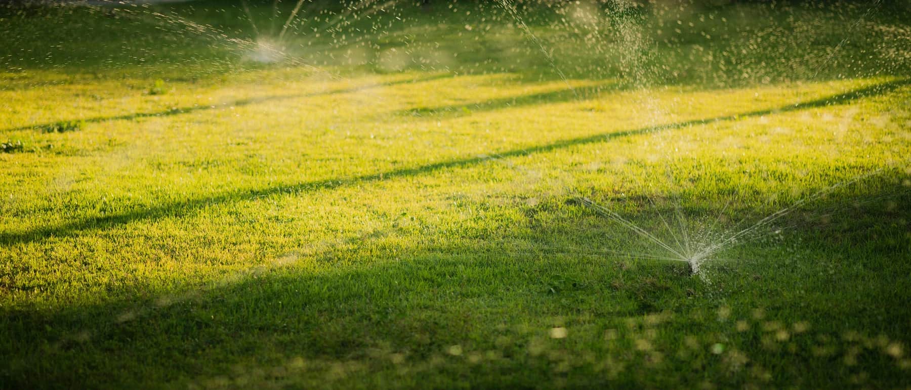 A lawn sprinkler spraying water across sunlit green grass