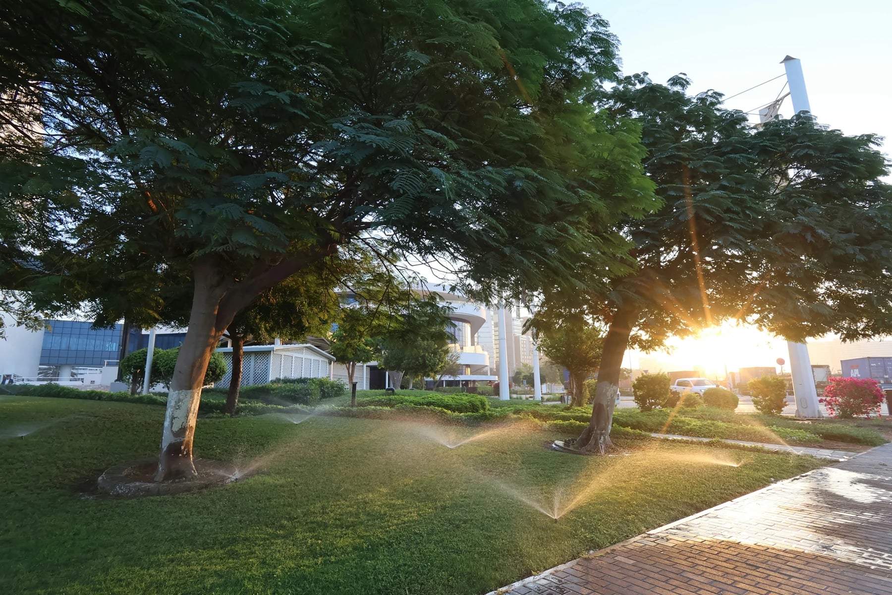 Sprinklers watering a lawn beneath trees