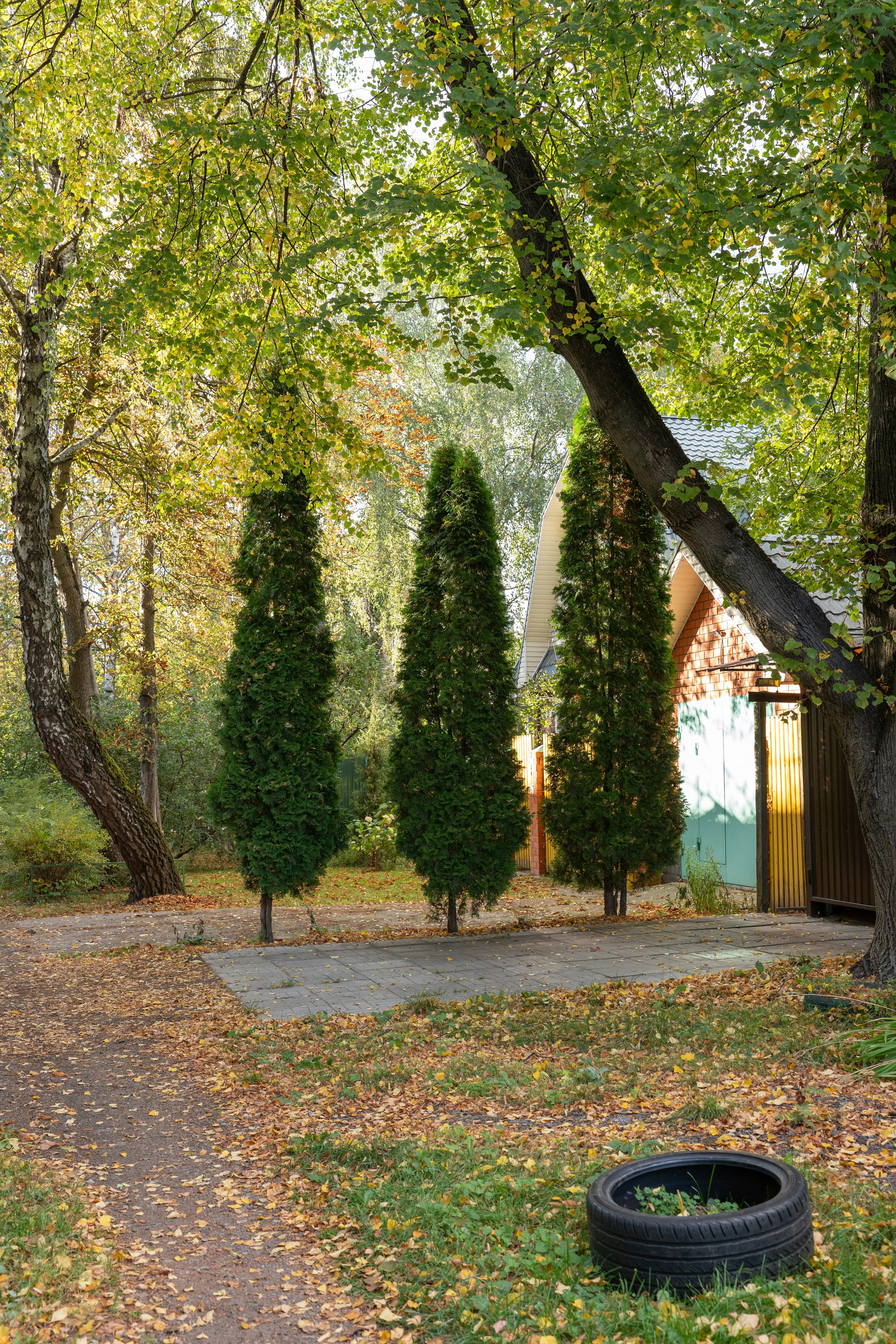 Fallen leaves across a lawn and paved path beside trees and a brick outbuilding