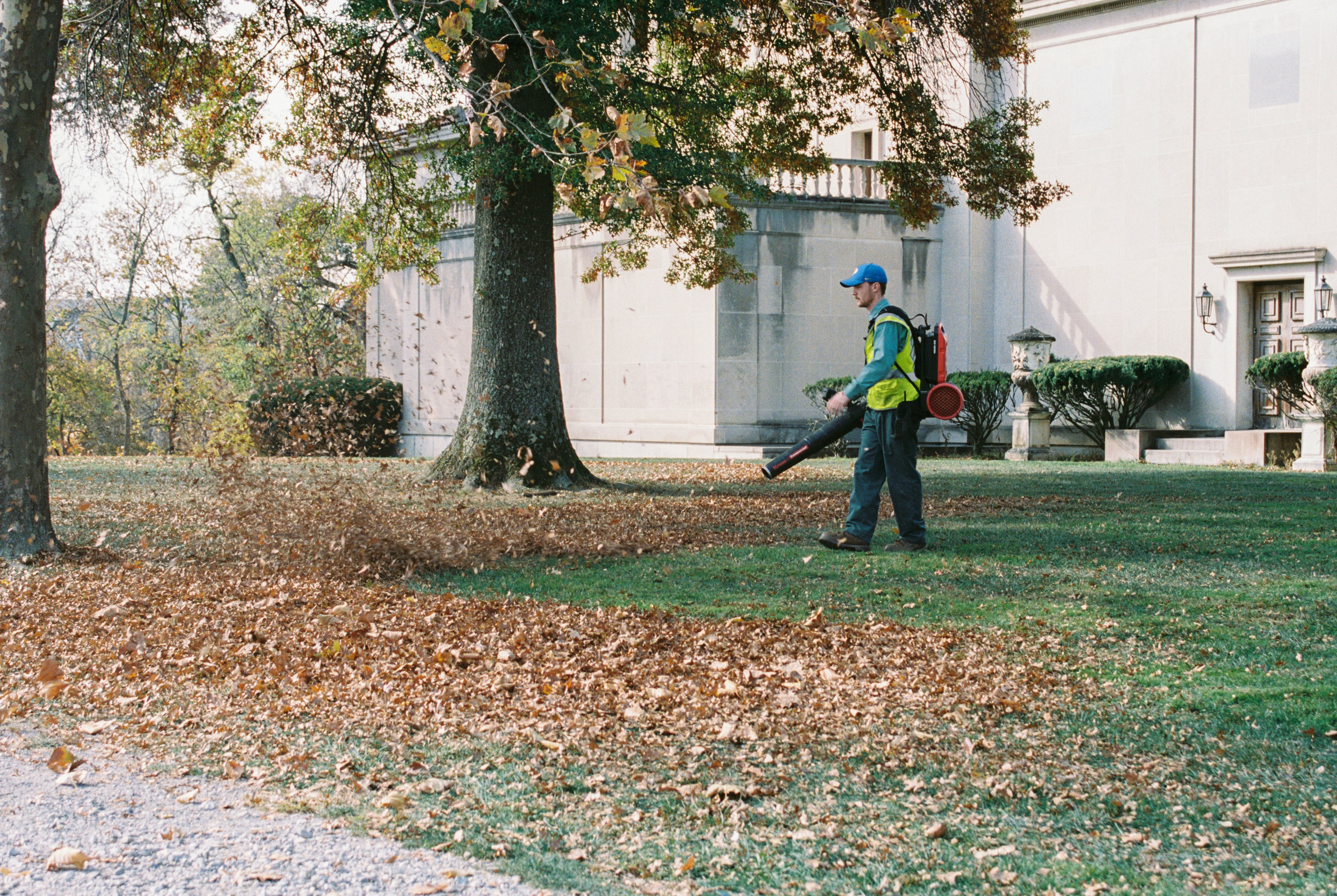 A worker clearing fallen leaves with a backpack blower