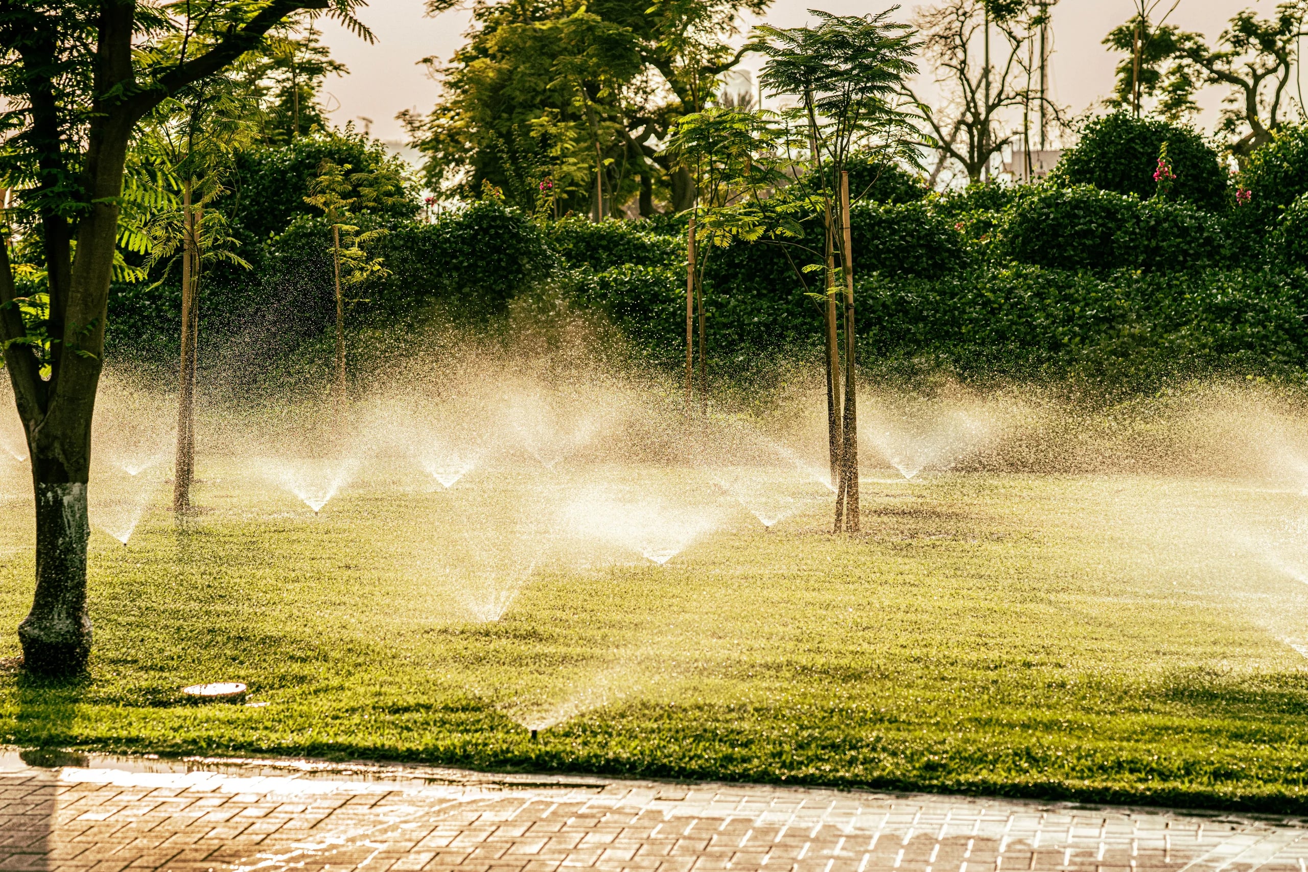 Sprinklers spraying a sunlit lawn among trees beside a paved path