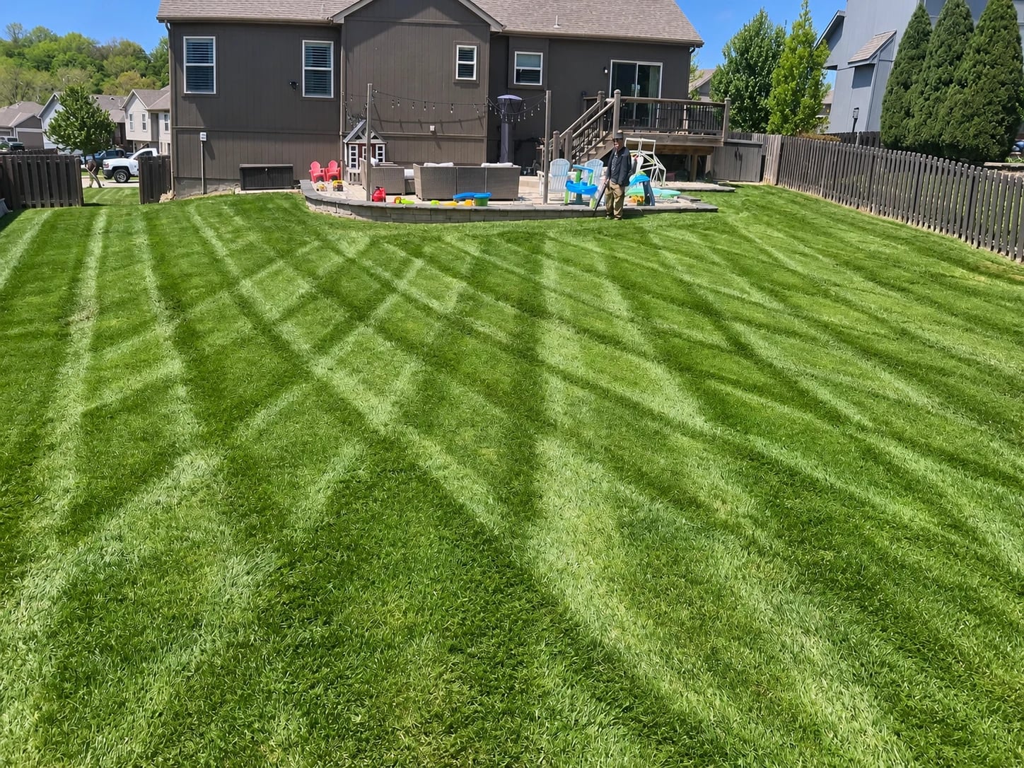 Fresh mowing stripes across a backyard lawn